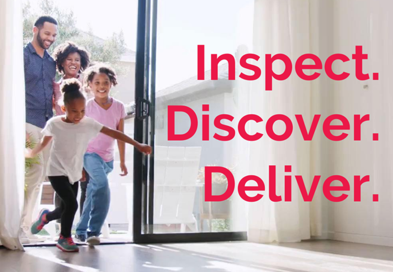 inspect. discover. deliver.