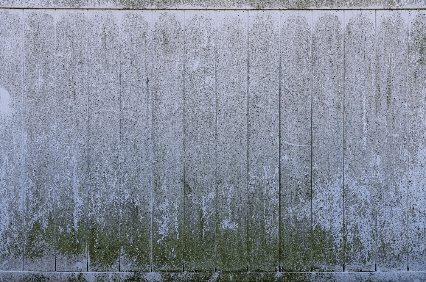 fence-mold