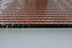 Read more about the article Big Problems Caused by a Leaky Roof