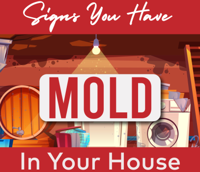 Read more about the article Signs You Have Mold In Your House