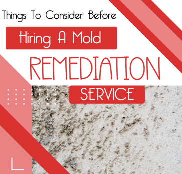 Read more about the article Things To Consider Before Hiring A Mold Remediation Service
