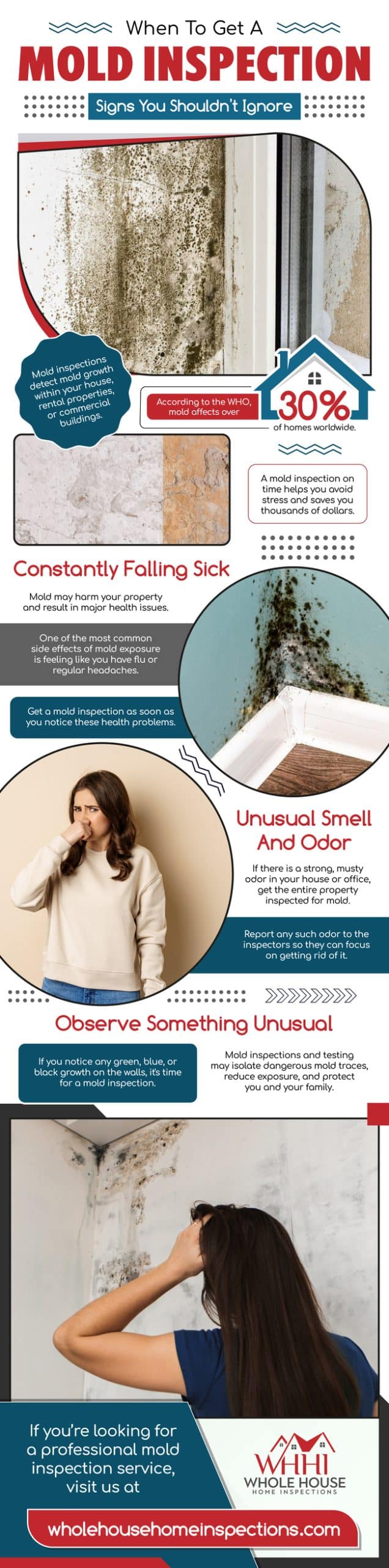 Mold Inspection Signs You Shouldn't Ignore